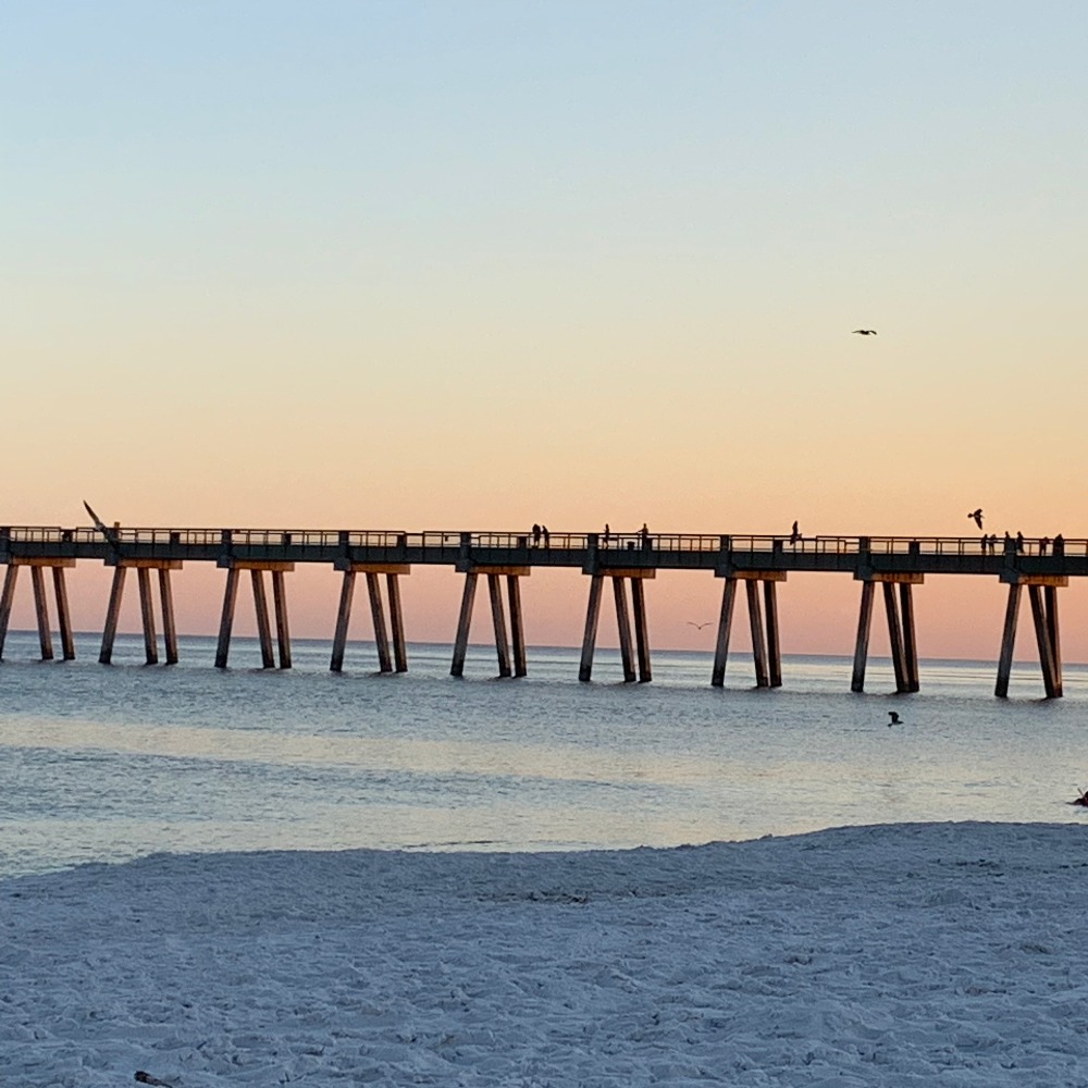 Meet your Posher, Yvonne